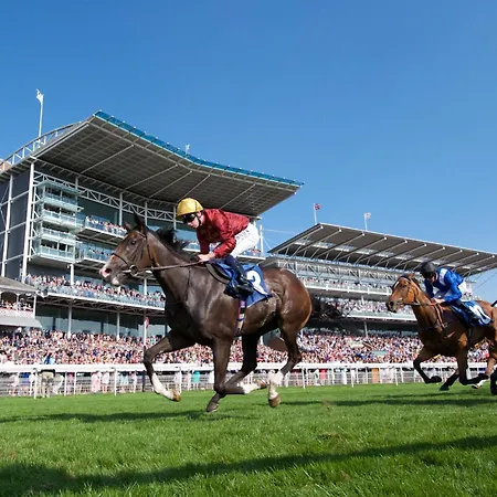 Pass The Keys 55 Heworth Village Wonderfully Cosy Family In * יורק